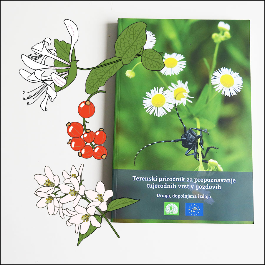 Field guide to the alien species in Slovenian forests with botanical drawings by Paul Veenvliet..