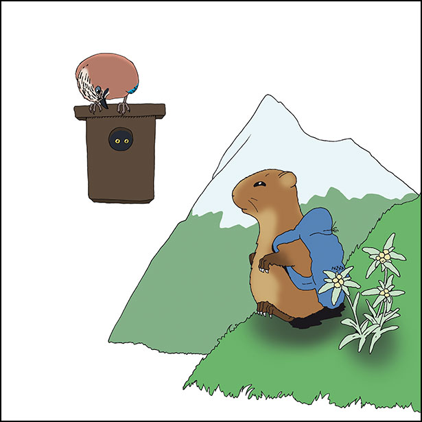 Cartoon illustrations by Paul Veenvliet