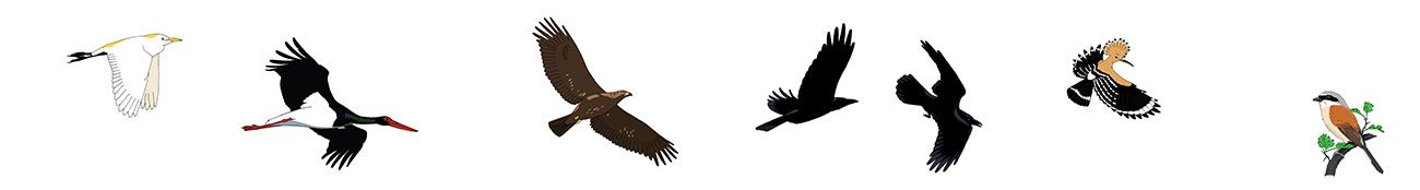 art style - vector drawing